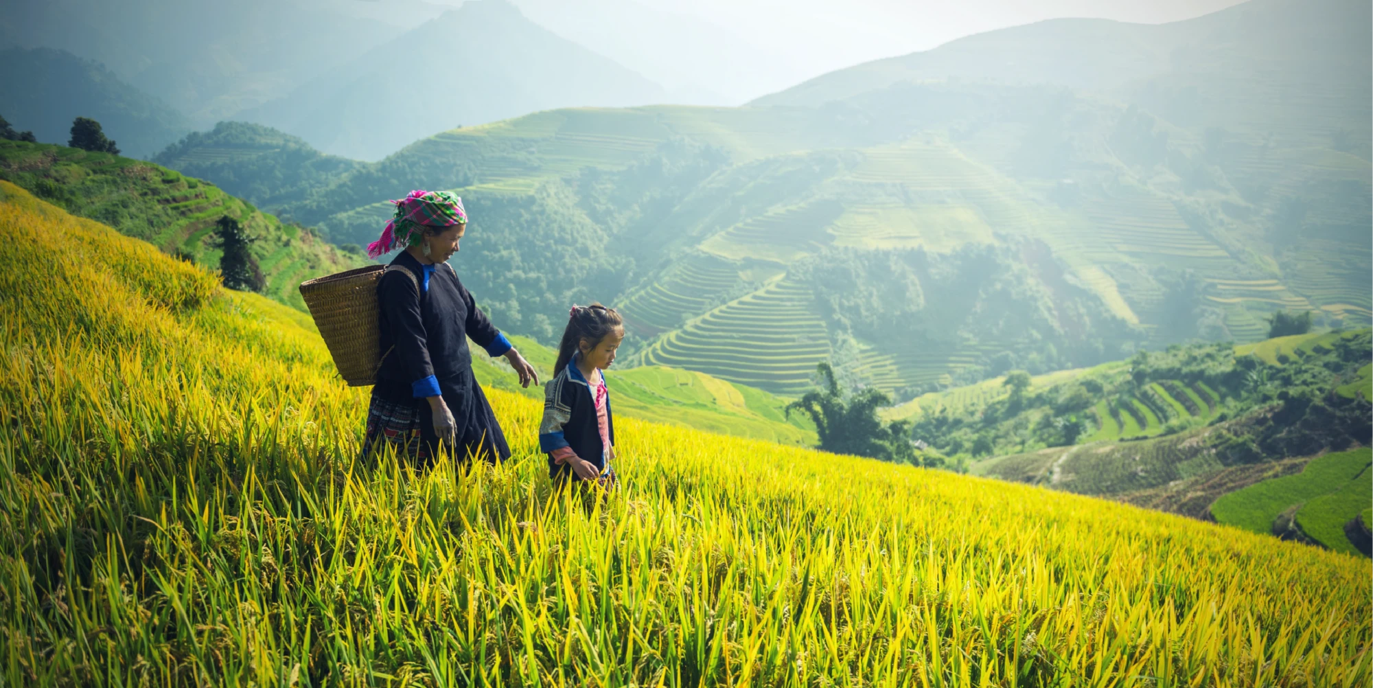 YOUR PATH TO NATURAL HEALTH STARTS WITH OUR HERBAL EXTRACTS